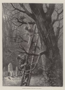 Gathering Mistletoe in the Days of the Druids